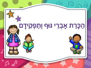 הכרת אברי גוף ותפקידם by Olie Kp