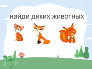 дикие и домашние животные by 