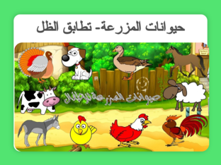حيوانات المزرعة- تطابق الظل by mona alyafai