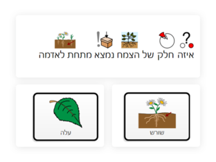 משחק על חלקי הצמח by anjad