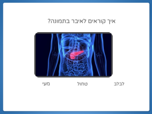 משחק חזרה על הורמונים by רז סקול