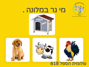 היכן הבית של החיות? by שלומית הספל