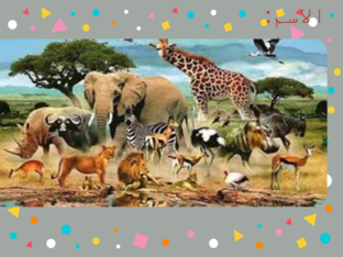 لعبة حديقة الحيوان  by Dunia Duniaqaq