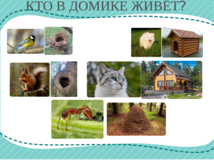 Кто в домике живёт? by Ksenia Kozlova