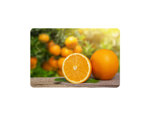 التعرف على الحمضيات  by מנאר אברהים