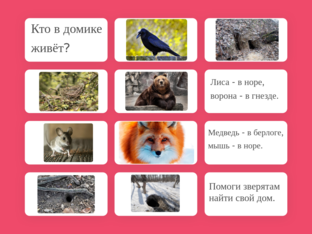 Кто в домике живёт?  by Daria Serebryakova
