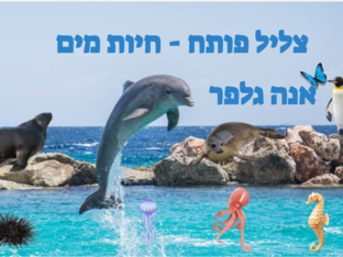 צליל פותח- חיות מים- אנה גלפר by אנה גלפר