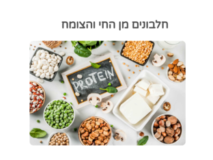 שיעור בנושא חלבונים מן החי והצומח by נעם זהבי