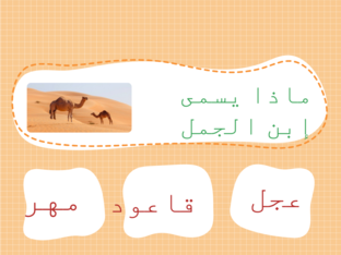 تقيم درس الحيوانات تتغذى وتنمو  by 