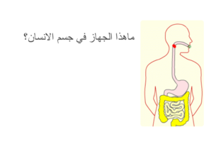   اجهزة اجسام الحيوانات by fayza sameer