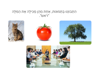 מה לא שייך- מציאת יוצא דופן by 