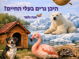 היכן גרים בעלי החיים? אנה גלפר by אנה גלפר