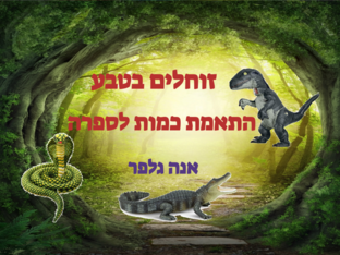 זוחלים- התאמת כמות לספרה - אנה גלפר by אנה גלפר
