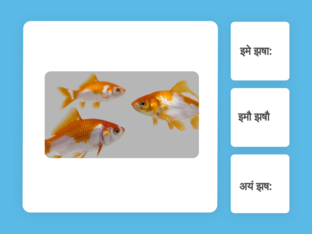 अयं इयं इदं (एक द्वि बहु वचनानि) by Anuradha Ananth