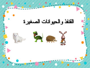 قصة القنفذ والحيوانات الصغيرة (فاطمة، نور، حنين) by fatima barkat