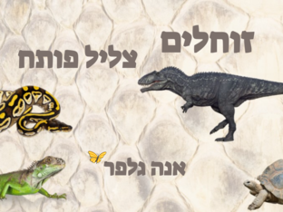 זוחלים - צליל פותח - אנה גלפר by אנה גלפר
