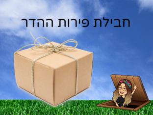 חבילת פירות הדר, סיור וירטואלי אל הפרדס - שירה  by שירה אלבו
