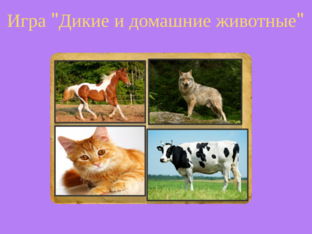  " Дикие и домашние животные" by Светлана Мочелова