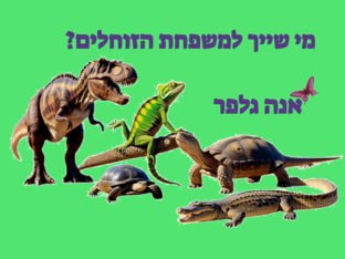 מה שייך לזוחלים? אנה גלפר by אנה גלפר