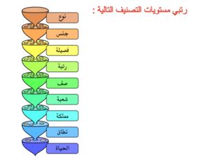 مستويات التصنيف في الكائنات الحية by Bayan Al-Sahely