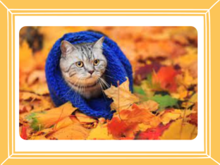 Ігрові завдання з теми  by Татьяна Чебанова