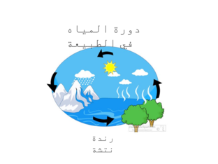 دورة المياه في الطبيعة by randa natsheh