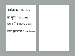 अयं स​: सर्वाणि वचनानि by Anuradha Ananth