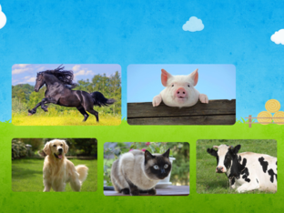 Знайди того, у кого..... by Татьяна Чебанова