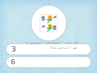 عدد العناصر في المجموعة by rawan abuhadwan
