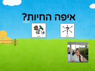 משחק חיות גן חרוז by קורל