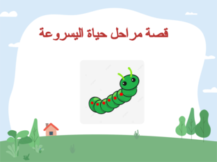قصة مراحل حياة اليسروعة by سالي زحايكة