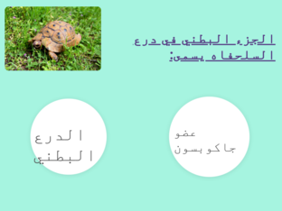 (مراجعه الفصل الثاني (احياء by abrar abrar