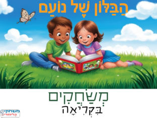 הבלון של נועם by מיה יואל מנדל