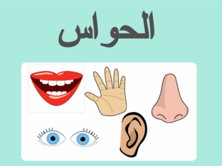 لصف الروضة الحواس by عارف