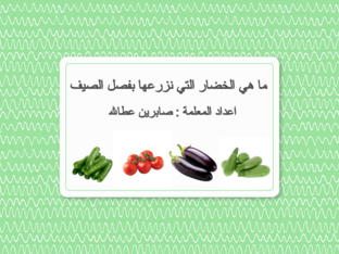 خضراوات فصل الصيف by sabreen atalla