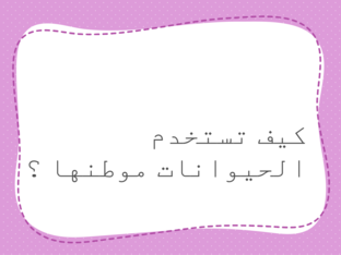 اجيبي عن التالي by lamya shehri