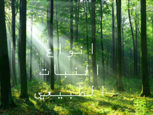 فرح  رواشدة by Abood Rawashdeh