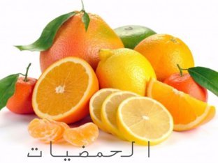 الحمضيات  by zatarh khaled