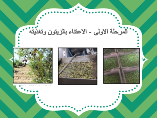 الزيت والزيتون by Misaa Nassir