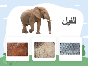 غطاء الحيوانات by Amany kh