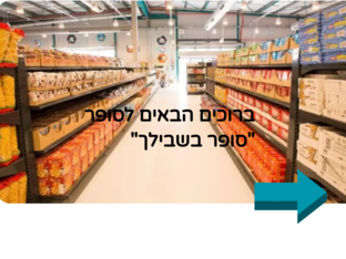 צרכנות נבונה by אלמוג מרי דהן