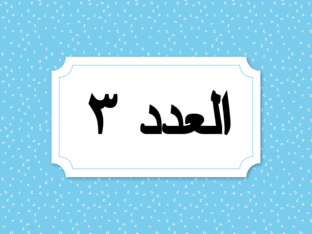 العدد ٣ by huda abu shah
