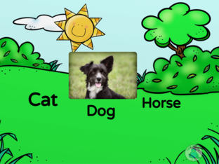 Домашние животные by Юлия Баязитова