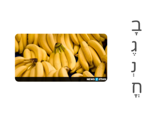 צליל  by עדן ירושלמי