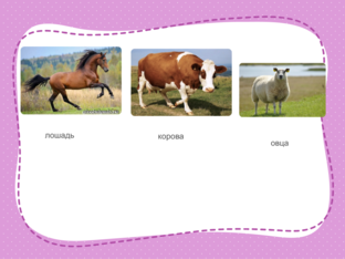 животные  by Александр Лоренц