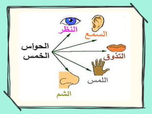 الحواس الخمسة by dalal alyan