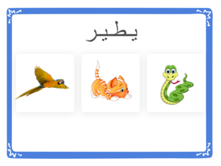 حركة الحيوانات by Omarma Aljanahi