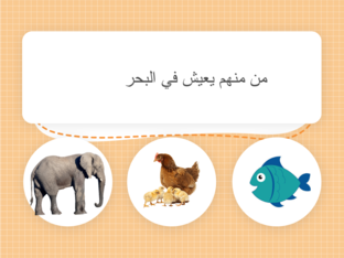 حيوانات البحر by Nourah Aldhanhani