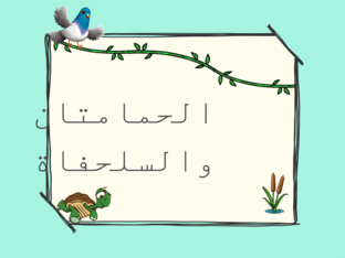 الحمامتان والسلحفاة by سمر عبدالرحمن