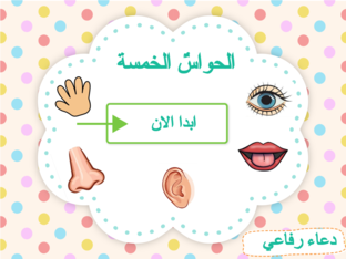 الحواس الخمسه by dalia osama